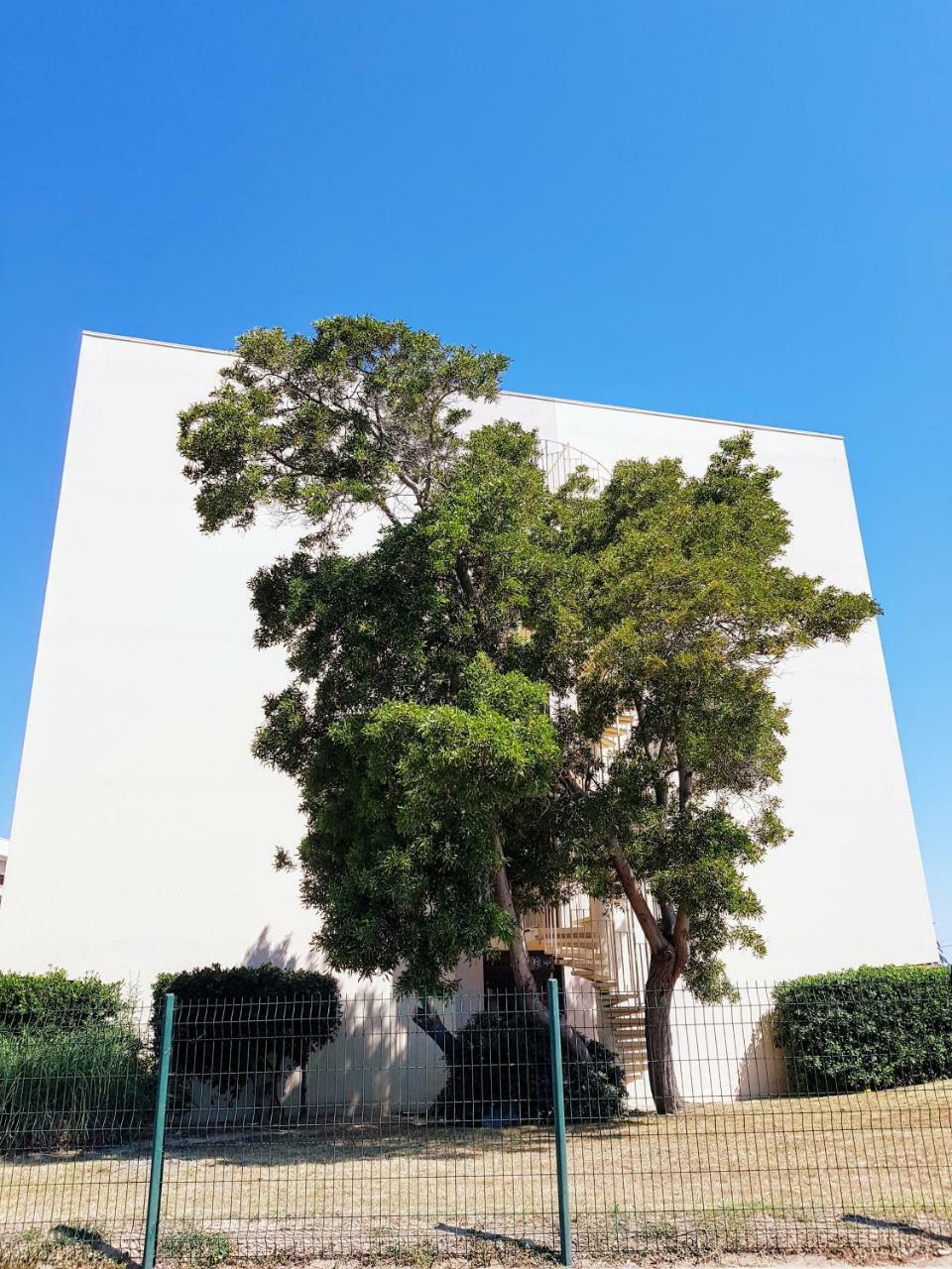 Studio Calme Avec Parking Et Ascenseur -304- Canet-en-Roussillon Exterior foto