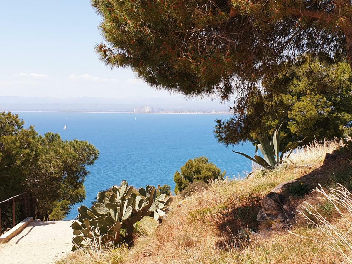 Studio Calme Avec Parking Et Ascenseur -304- Canet-en-Roussillon Exterior foto
